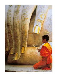Hugh Sitton  The Hand of Buddha Kunstdruk 60x80cm | Yourdecoration.nl