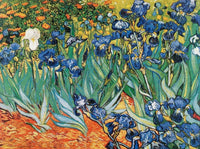 Vincent Van Gogh  Iris Kunstdruk 80x60cm | Yourdecoration.nl