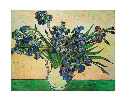 Vincent Van Gogh Iris Strauss, 1890 Kunstdruk 50x40cm | Yourdecoration.nl