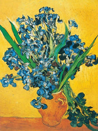 Vincent Van Gogh  Les iris Kunstdruk 60x80cm | Yourdecoration.nl