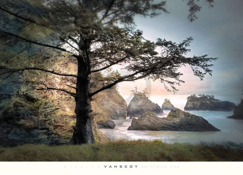 William Vanscoy All Day Dreamer Kunstdruk 91x66cm | Yourdecoration.nl