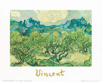 Vincent Van Gogh  Landscapes with olive trees Kunstdruk 30x24cm | Yourdecoration.nl