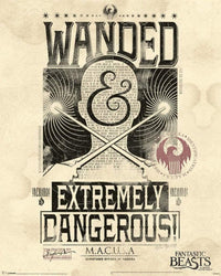 Pyramid Fantastic Beasts Extremely Dangerous Poster 40x50cm | Yourdecoration.nl