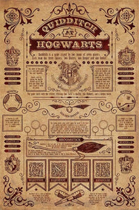 Pyramid Harry Potter Quidditch At Hogwarts Poster 61x91,5cm | Yourdecoration.nl