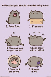 Pyramid Pusheen Reasons to be a Cat Poster 61x91,5cm | Yourdecoration.nl