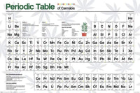Pyramid Periodic Table Cannabis Poster 61x91,5cm | Yourdecoration.nl