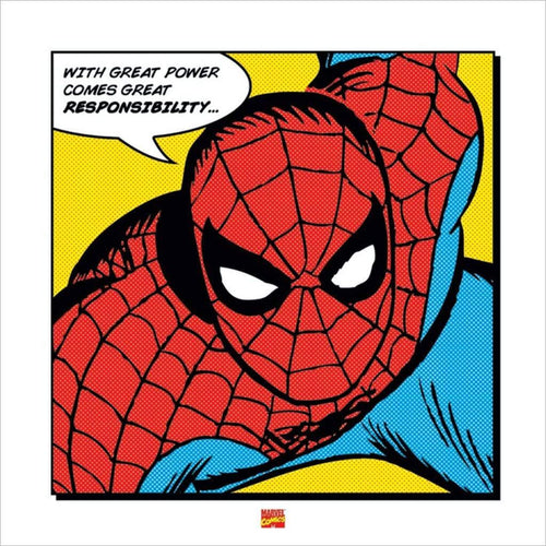 Pyramid Spider Man With Great Power Kunstdruk 40x40cm | Yourdecoration.nl