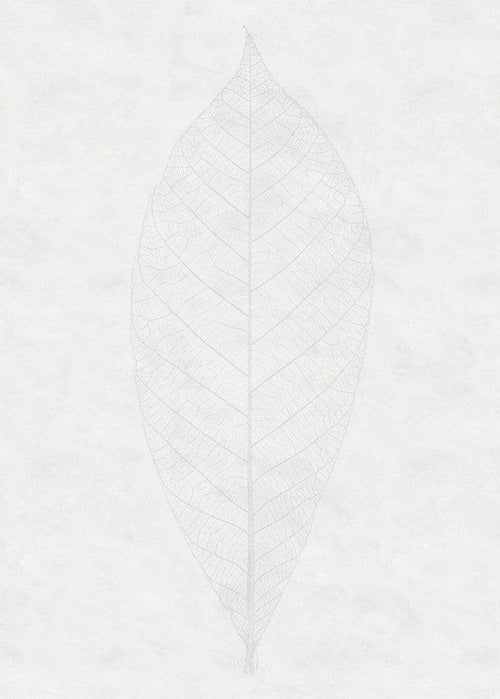 Komar Decent Leaf Vlies Fotobehang 200x280cm 2 banen | Yourdecoration.nl