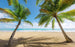 Komar Caribbean Days II Vlies Fotobehang 450x280cm 9 banen | Yourdecoration.nl