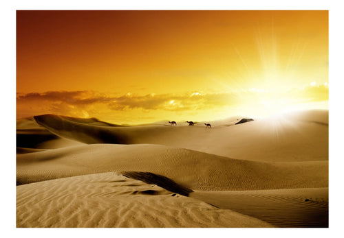 Fotobehang - March of Camels - Vliesbehang