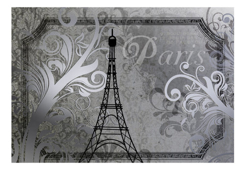 Fotobehang - Vintage Paris Silver - Vliesbehang
