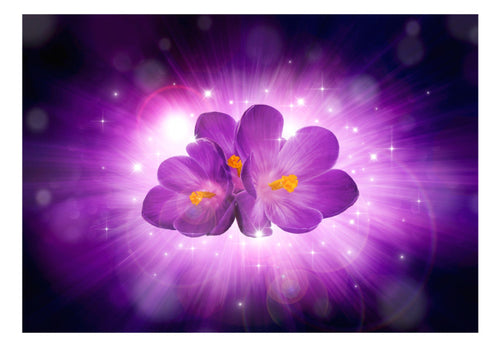Fotobehang - Breath of Spring - Vliesbehang