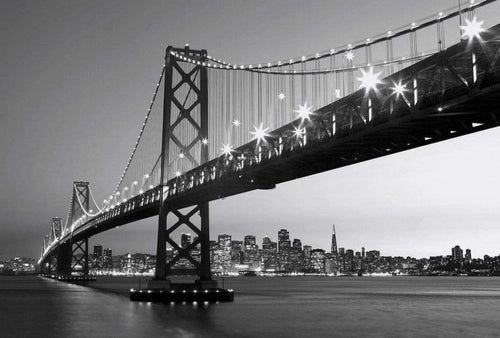 Wizard+Genius San Francisco Skyline Vlies Fotobehang 384x260cm 8 banen | Yourdecoration.nl