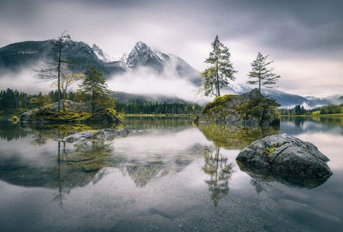 Wizard+Genius Foggy Day Vlies Fotobehang 384x260cm 8 banen | Yourdecoration.nl