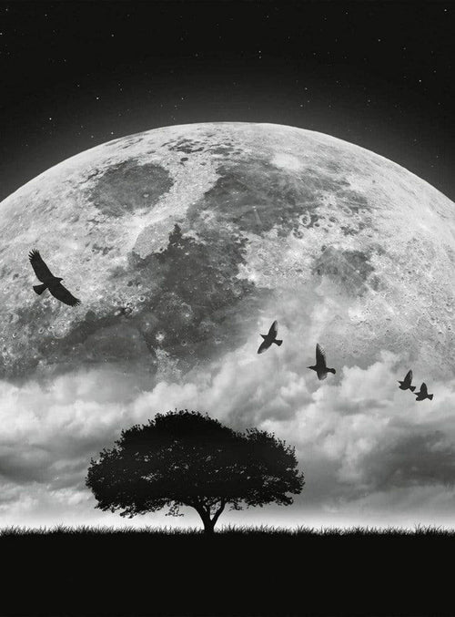 Wizard+Genius Moon and Birds Vlies Fotobehang 192x260cm 4 banen | Yourdecoration.nl