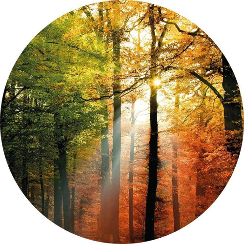 Wizard+Genius Golden Autumn Vlies Fotobehang 140x140cm rond | Yourdecoration.nl