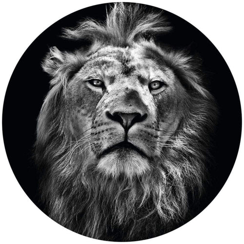 Wizard+Genius Lion Vlies Fotobehang 140x140cm rond | Yourdecoration.nl