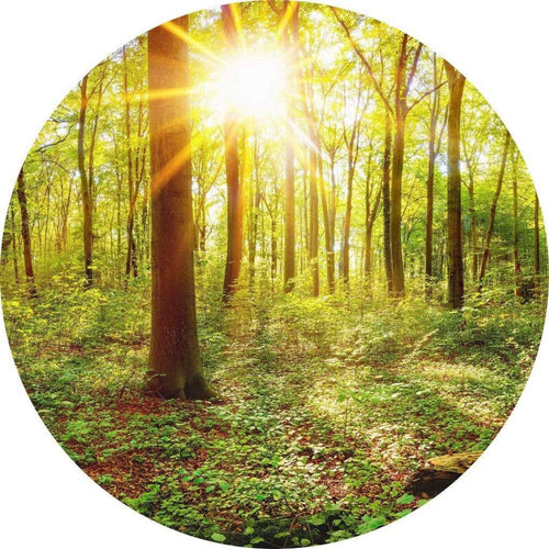 Wizard+Genius Deep in the Woods Vlies Fotobehang 140x140cm rond | Yourdecoration.nl