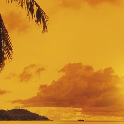 Komar Sunset Fotobehang 368x254cm | Yourdecoration.nl