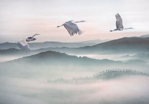 Komar Vlies Fotobehang Inx8 083 Mystic Cranes | Yourdecoration.nl