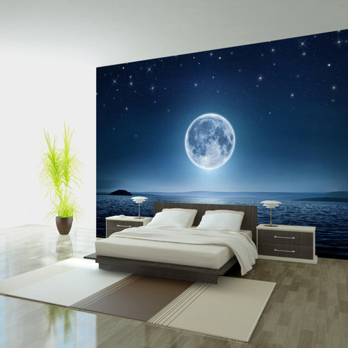 Fotobehang - Moonlit Night - Vliesbehang