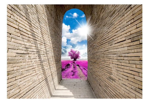 Fotobehang - Magical Passage - Vliesbehang