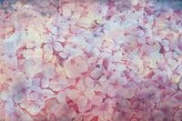 Dimex Apple Tree Abstract I Fotobehang 375x250cm 5 banen | Yourdecoration.nl