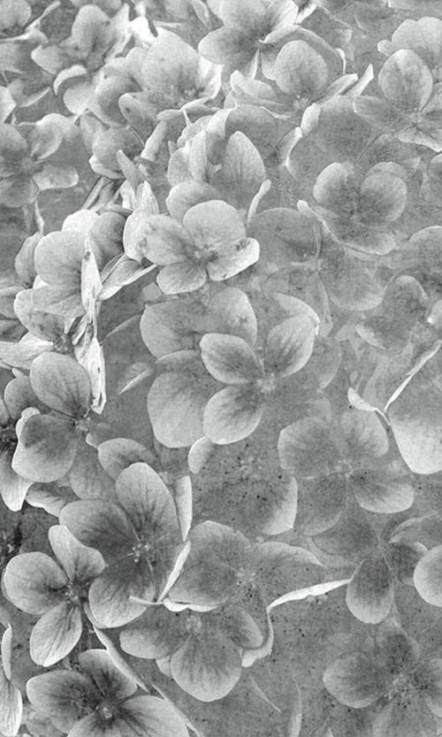 Dimex Apple Tree Abstract III Fotobehang 150x250cm 2 banen | Yourdecoration.nl