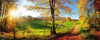 Dimex Meadow Fotobehang 375x150cm 5 banen | Yourdecoration.nl