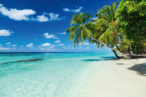 Dimex Paradise Beach Fotobehang 375x250cm 5 banen | Yourdecoration.nl