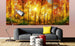 Dimex Sunny Forest Fotobehang 375x150cm 5 banen Sfeer | Yourdecoration.nl