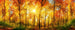 Dimex Sunny Forest Fotobehang 375x150cm 5 banen | Yourdecoration.nl