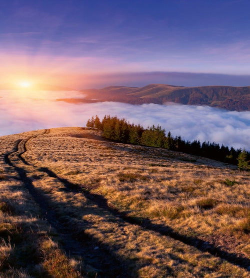 Dimex Sunrise in Mountains Fotobehang 225x250cm 3 banen | Yourdecoration.nl