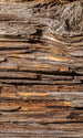Dimex Tree Bark Fotobehang 150x250cm 2 banen | Yourdecoration.nl