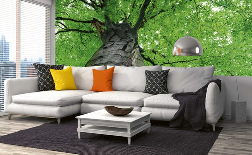 Dimex Treetop Fotobehang 375x150cm 5 banen Sfeer | Yourdecoration.nl