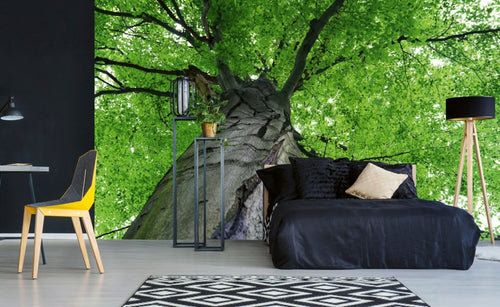 Dimex Treetop Fotobehang 375x250cm 5 banen Sfeer | Yourdecoration.nl