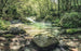 Komar Tranquil Pool Vlies Fotobehang 400x250cm 4 banen | Yourdecoration.nl