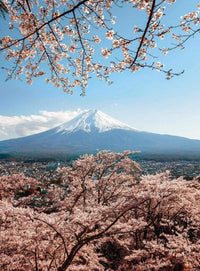 Wizard+Genius Mount Fuji in Japan Vlies Fotobehang 192x260cm 4 banen | Yourdecoration.nl