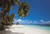 Komar Maldives Fotobehang 388x270cm | Yourdecoration.nl