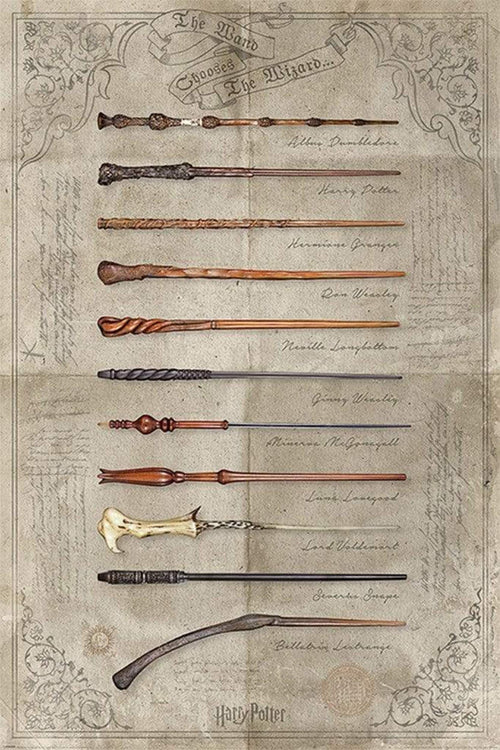 Pyramid Harry Potter The Wand Chooses the Wizard Poster 61x91,5cm | Yourdecoration.nl