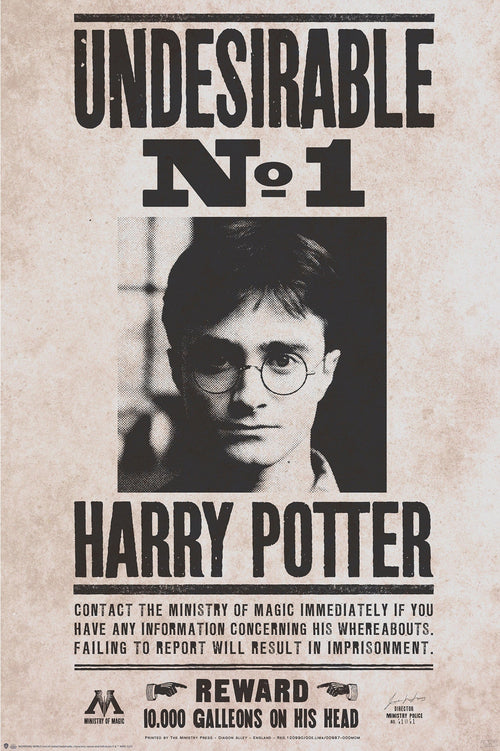 Gbeye Harry Potter Undesirable Nr 1 Poster 61X91 5cm | Yourdecoration.nl