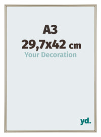 Annecy Kunststof Fotolijst 29 7x42cm A3 Champagne Voorzijde Maat | Yourdecoration.nl