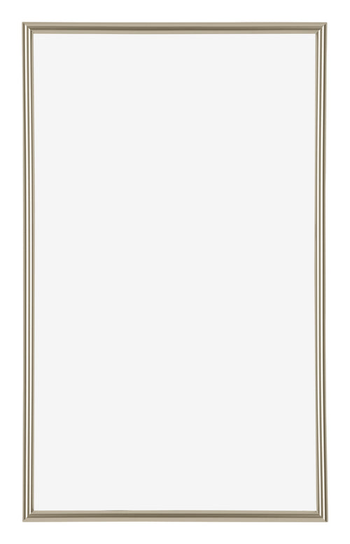 Annecy Kunststof Fotolijst 30x50cm Champagne Voorzijde | Yourdecoration.nl