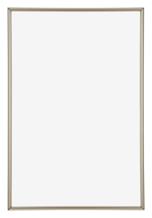 Annecy Kunststof Fotolijst 40x60cm Champagne Voorzijde | Yourdecoration.nl