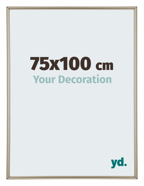 Annecy Kunststof Fotolijst 75x100cm Champagne Voorzijde Maat | Yourdecoration.nl