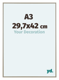 Austin Aluminium Fotolijst 29 7x42cm A3 Champagne Voorzijde Maat | Yourdecoration.nl
