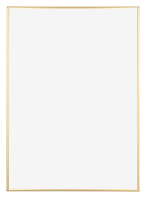 Austin Aluminium Fotolijst 35x50cm Goud Glanzend Voorzijde | Yourdecoration.nl