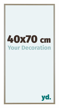 Austin Aluminium Fotolijst 40x70cm Champagne Voorzijde Maat | Yourdecoration.nl