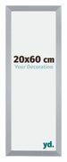 Catania MDF Fotolijst 20x60cm Zilver Maat | Yourdecoration.nl