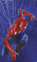 Marvel Spider Man Spider Fotobehang DX3 210 | Yourdecoration.nl